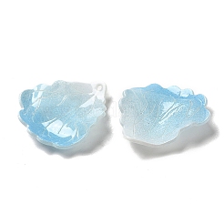 Acrylic Pendants&nbsp;SACR-C002-40C