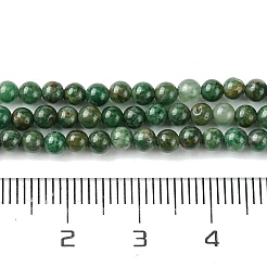 Natural African Jade Beads Strands&nbsp;G-K365-C08-01
