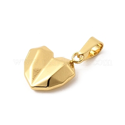 304 Stainless Steel Pendants&nbsp;STAS-C163-01C-G