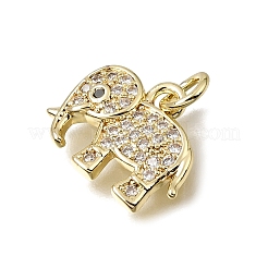 Brass Micro Pave Black Cubic Zirconia Charms&nbsp;CU-L001-18G-05