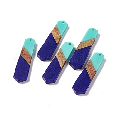Opaque Resin & Walnut Wood Pendants&nbsp;RESI-M027-06E