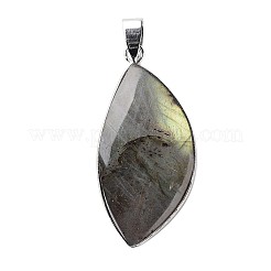 Natural Labradorite Teardrop Pendants&nbsp;G-L350-03