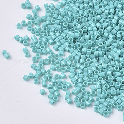 FGB 11/0 Grade A Glass Seed Beads&nbsp;SEED-S030-0729