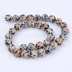 Natural Dalmatian Jasper Beads Strands&nbsp;G-Q462-10mm-30