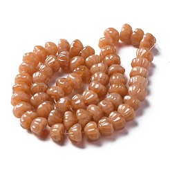 Autumn Theme Handmade Lampwork Beads Strands&nbsp;LAMP-T017-06C