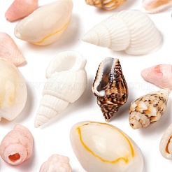 4 Style Natural Cowrie & Trumpet & Sea Shell Beads&nbsp;BSHE-FS0001-03