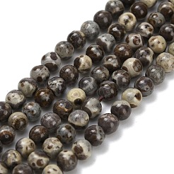Natural Astroite Jasper Beads Strands&nbsp;G-F814-A01-4mm