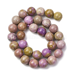 Natural Lepidolite/Purple Mica Stone Beads Strands&nbsp;G-K401-A01-12mm