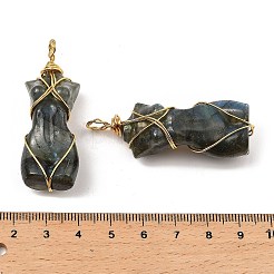 Natural Labradorite Pendants&nbsp;G-K338-30G-02