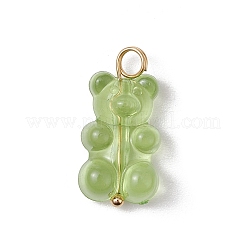 16Pcs Transparent Acrylic Pendants&nbsp;PALLOY-JF03542
