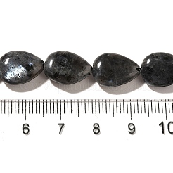 Natural Larvikite Beads Strands&nbsp;G-I377-A10