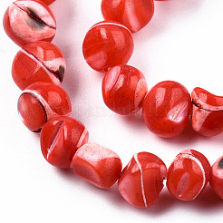 Natural Trochid Shell/Trochus Shell Beads Strands&nbsp;SSHEL-N032-48-A05