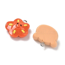 Cute Resin Pendants&nbsp;RESI-I339-04P