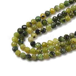 Natural Jade Beads Strands&nbsp;G-G189-D08-02