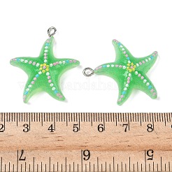 Opaque Resin Pendants&nbsp;RESI-Z040-06P-04