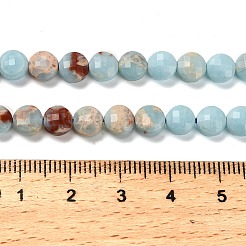 Synthetic ShouShan Stone Beads Strands&nbsp;G-C179-A6mm-26