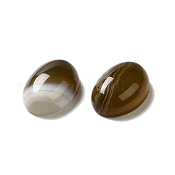 Natural Banded Agate Cabochons&nbsp;G-G975-01B-01