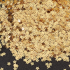 100G PET Paillette/Sequins Pendants&nbsp;KY-CY0001-24A
