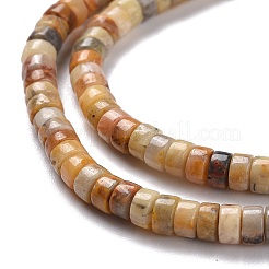 Natural Crazy Lace Agate Beads Strands&nbsp;LS-G-P468-09