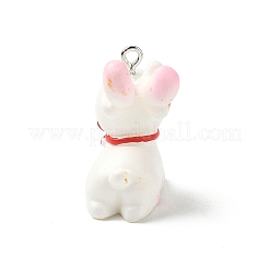 Easter Theme Opaque Resin Pendants&nbsp;RESI-I336-01P-04