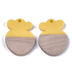 Resin & Wood Pendants&nbsp;RESI-S358-43C