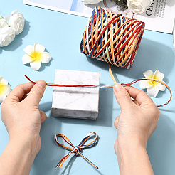 Segment Dyed Raffia Paper Cords for DIY Craft&nbsp;OCOR-WH20020-27H