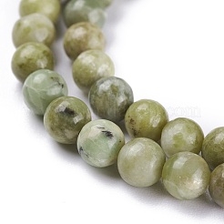 Natural Idocrase Beads Strands&nbsp;G-N165-7-2