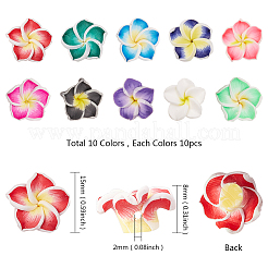 Handmade Polymer Clay 3D Flower Plumeria Beads&nbsp;CLAY-SC0001-02
