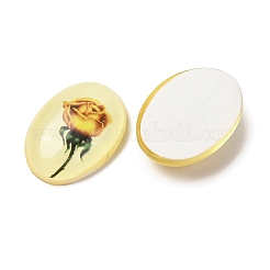 Transparent Resin Cabochons&nbsp;LS-RESI-K033-11B
