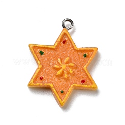 Opaque Resin Pendants&nbsp;RESI-D055-133P