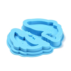 Shaker Mold&nbsp;DIY-C039-10