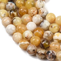 Natural Yellow Opal Beads Strands&nbsp;G-G992-A02-A