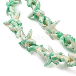 Spray Printed Synthetic Turquoise Beads Strands&nbsp;TURQ-P002-02A-01