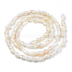 Natural Cultured Freshwater Pearl Beads Strands&nbsp;X-PEAR-N012-02F