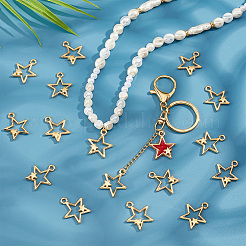 Zinc Alloy Pendants&nbsp;FIND-PH0007-58