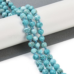 Dyed Natural Howlite Beads Strands&nbsp;G-H057-A18-01