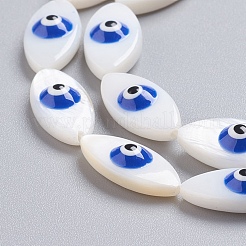 Natural Shell Beads Strands&nbsp;SSHEL-I024-04F