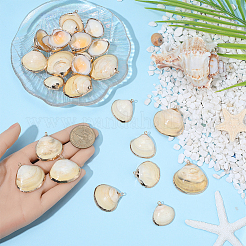 30Pcs Electroplated Natural Shell Pendants&nbsp;SSHEL-SC0001-58