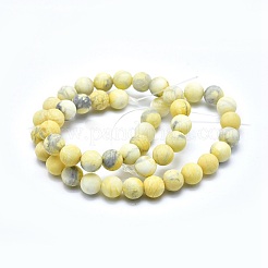 Natural Howlite Bead Strands&nbsp;G-I224-04B-8mm