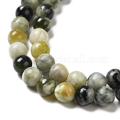 Natural Xiuyu Jade Beads Strands&nbsp;G-H298-A08-02