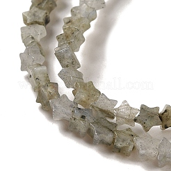 Natural Labradorite Beads Strands&nbsp;G-G085-B25-01