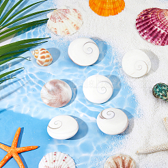 6Pcs Natural Shiva Eye Shell Cabochons&nbsp;BSHE-FH0001-04