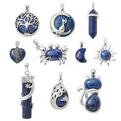 5Pcs 5 Styles Natural Lapis Lazuli Pendants&nbsp;G-YW0003-06A