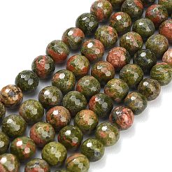 Natural Unakite Beads Strands&nbsp;G-C280-B03-8mm