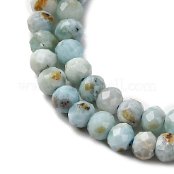 Natural Larimar Beads Strands&nbsp;G-F803-B01-02