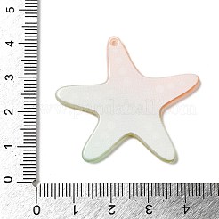 Acrylic Pendants&nbsp;FIND-Q105-06B-01