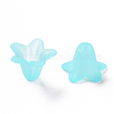 Transparent Acrylic Beads&nbsp;PLF018-13-1