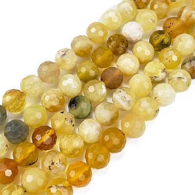 Natural Yellow Opal Beads Strands&nbsp;G-L597-C05-05-1
