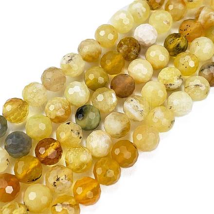 Natural Yellow Opal Beads Strands G-L597-C05-05-1