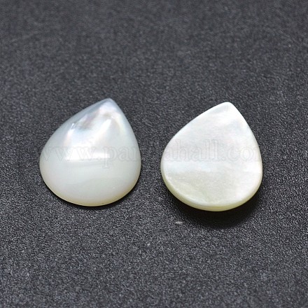 Shell Cabochons&nbsp;SSHEL-E567-24E-1